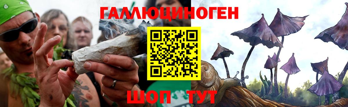 Галлюциногенные грибы прущие грибы Лобня